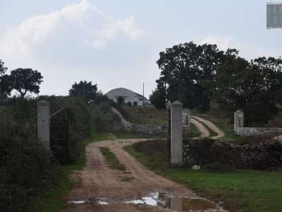 Siamo andati alla ricerca del �Monumento dei briganti� eretto nel 2006 dal movimento Neoborbonico. Da Gioia del Colle guidiamo verso Santeramo, per poi imboccare sulla sinistra la provinciale 169 che dopo circa quattro chilometri incrocia con quella strada vicinale Marazia che conduce alla masseria omonima